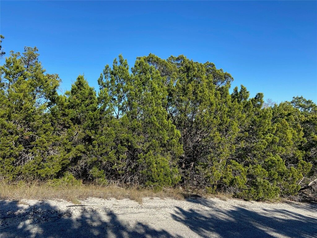 Property Photo:  20704 Ranger Trail  TX 78641 