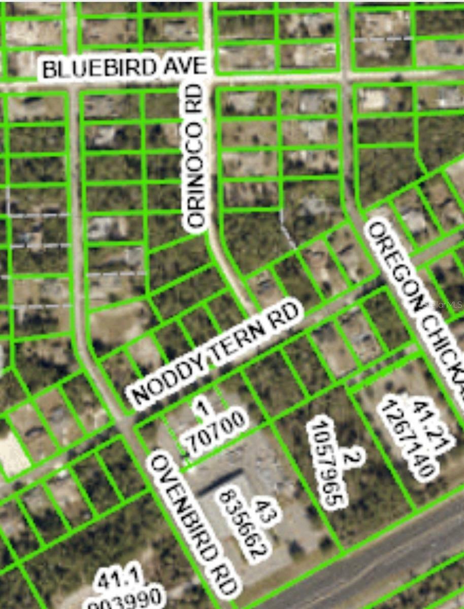 Property Photo: 6495 Orinoco Road FL 34613