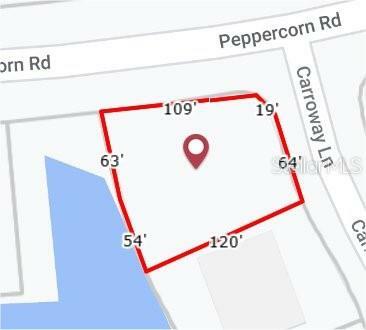 Property Photo:  17247 Carroway Lane  FL 33955 
