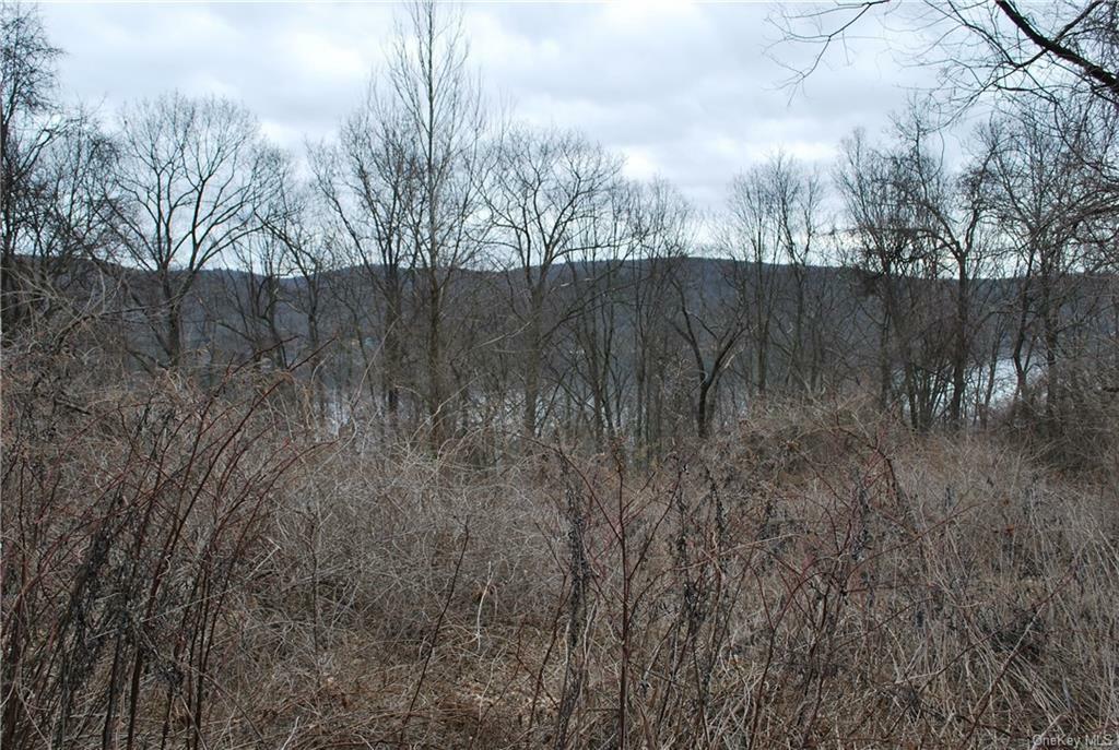 Property Photo: Blueberry Hill NY 10925