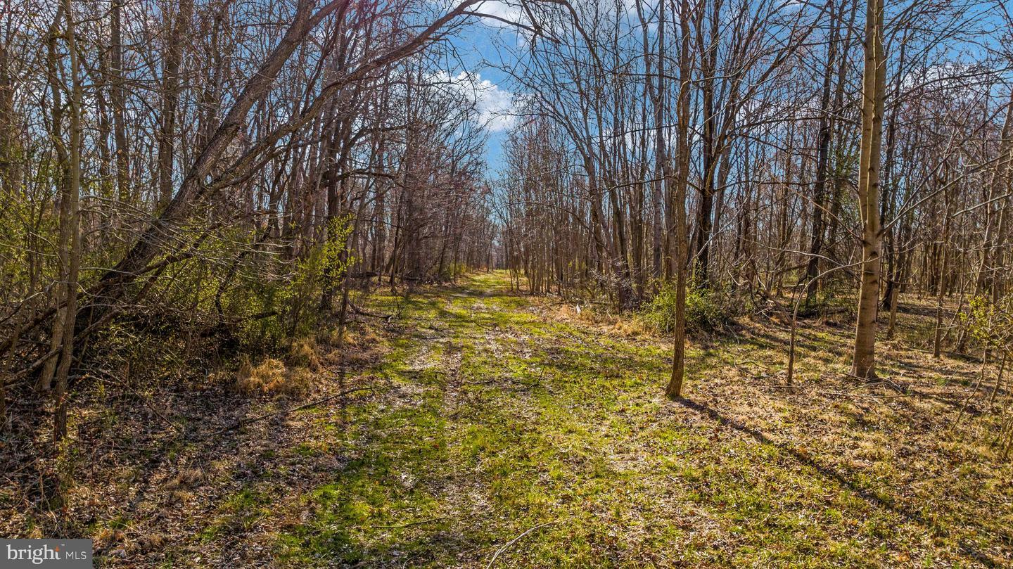 Property Photo:  # Tbd Mountain Road  VA 20132 
