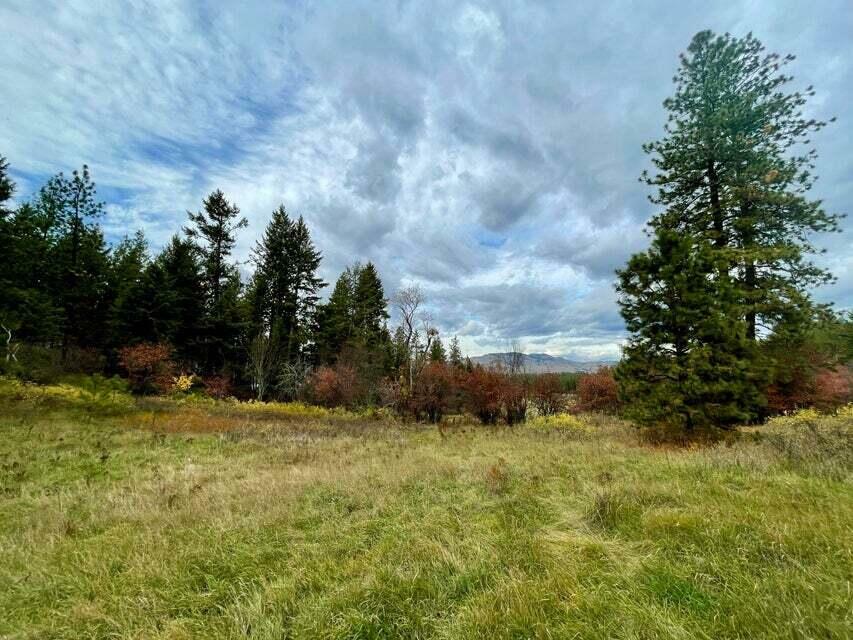 Property Photo:  1237 Gold Edge Mine Lot A Rd  WA 99141 