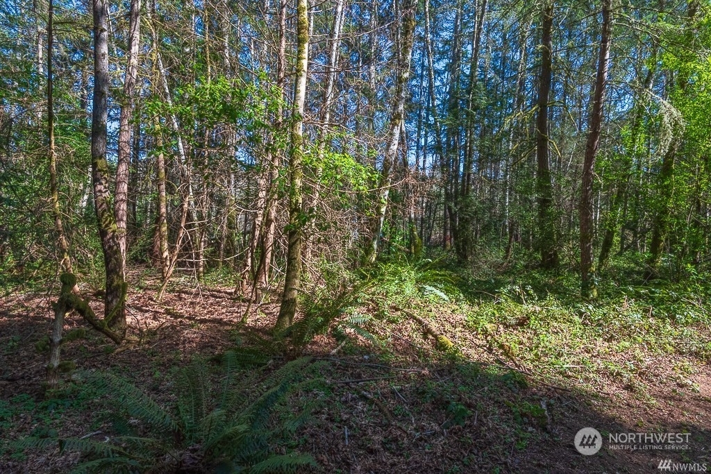 Property Photo: 11305 NE Miller Road WA 98110