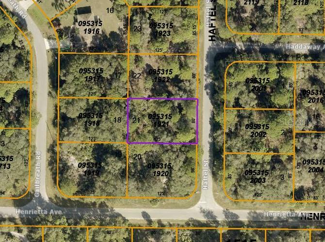 Property Photo: Lot 21 Haftel Street FL 34291