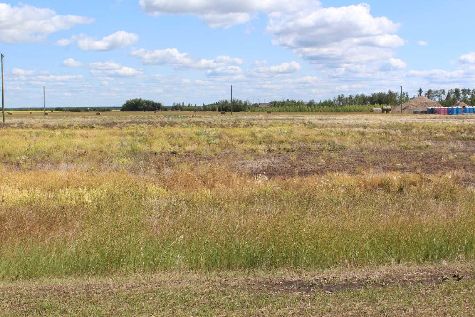 Property Photo:  901 Main Street  AB T0H 2M0 