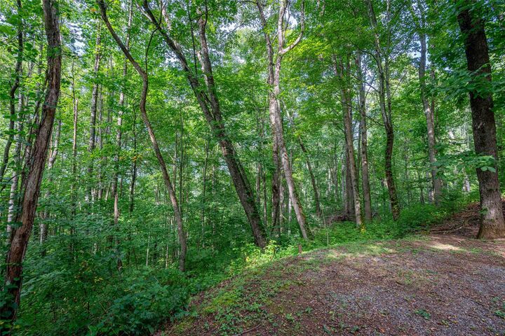 Property Photo:  8 Resurrection Lane 8  NC 28779 