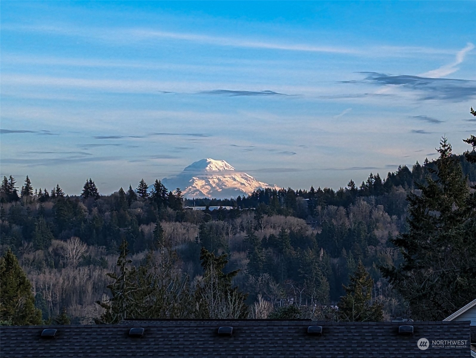 Property Photo:  2430 Sand Dollar Road W  WA 98312 