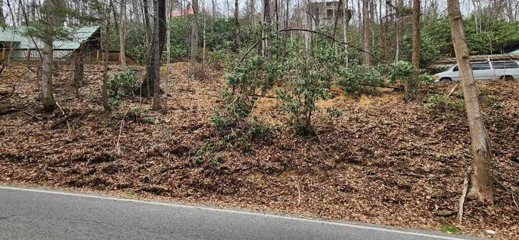 Property Photo: Lot 45 Ski Mtn Road TN 37876