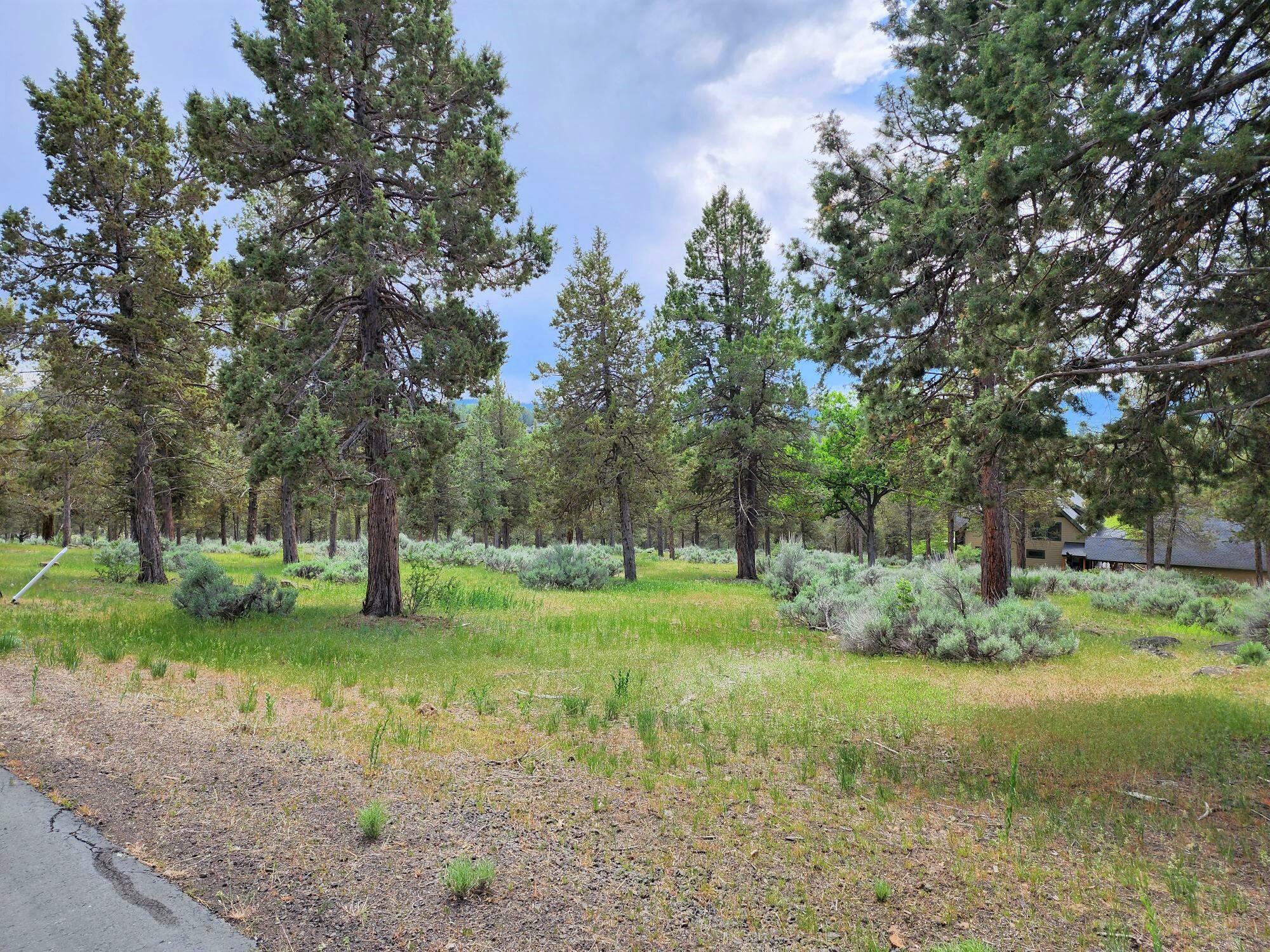 Property Photo:  Lot 515 Dowitcher Road  OR 97601 