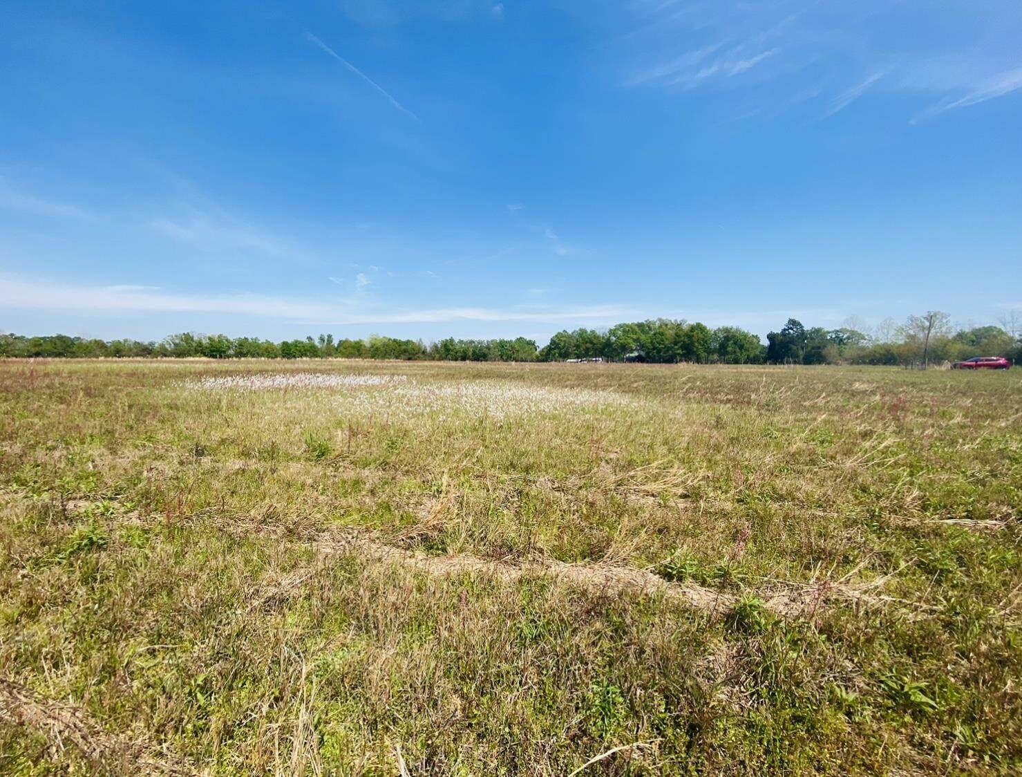 Property Photo: 1004 Molino Rd FL 32577