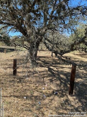 Property Photo:  23311 Trumbo Rd  TX 78264 
