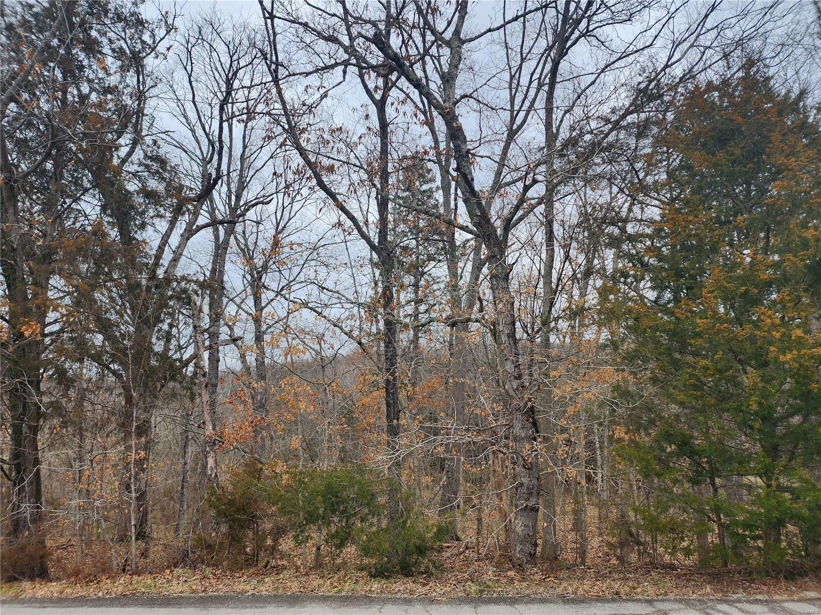 Property Photo:  10204 Belew Creek Drive  MO 63050 