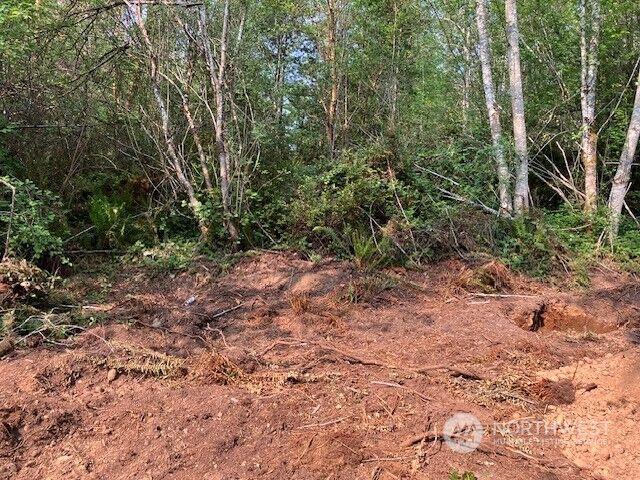 Property Photo: 112 E Olympic View Drive WA 98528