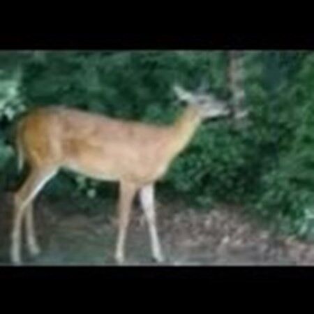 Property Photo:  35 Texas Street  MA 02050 