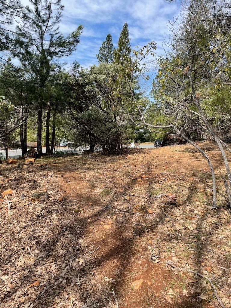 Property Photo:  16269 Sharon Way  CA 95949 