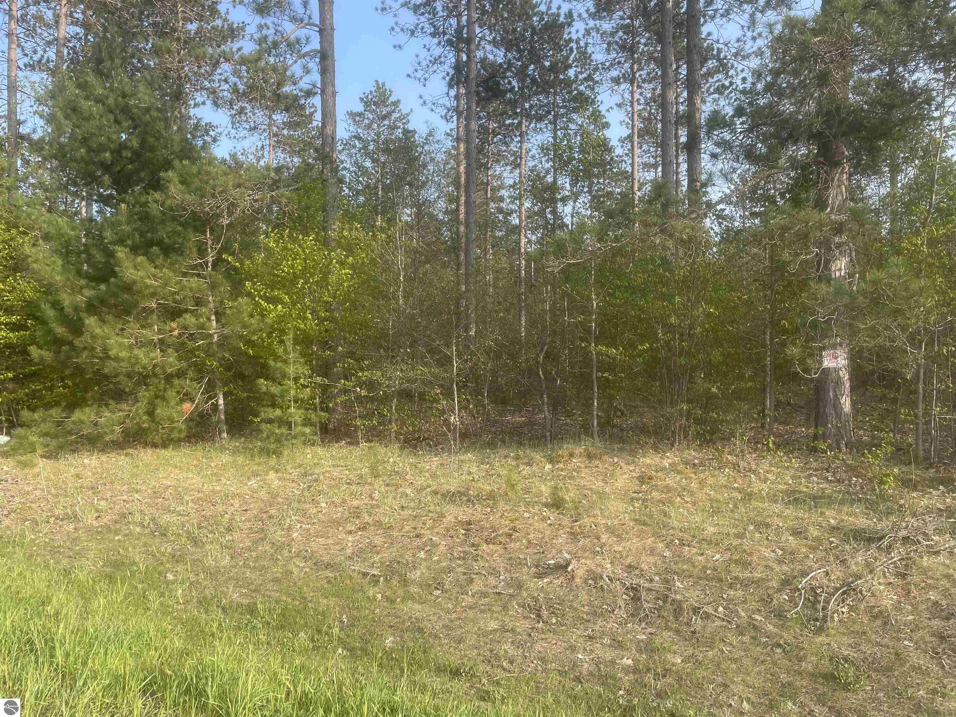 Lot H Riley Road  Interlochen MI 49643 photo