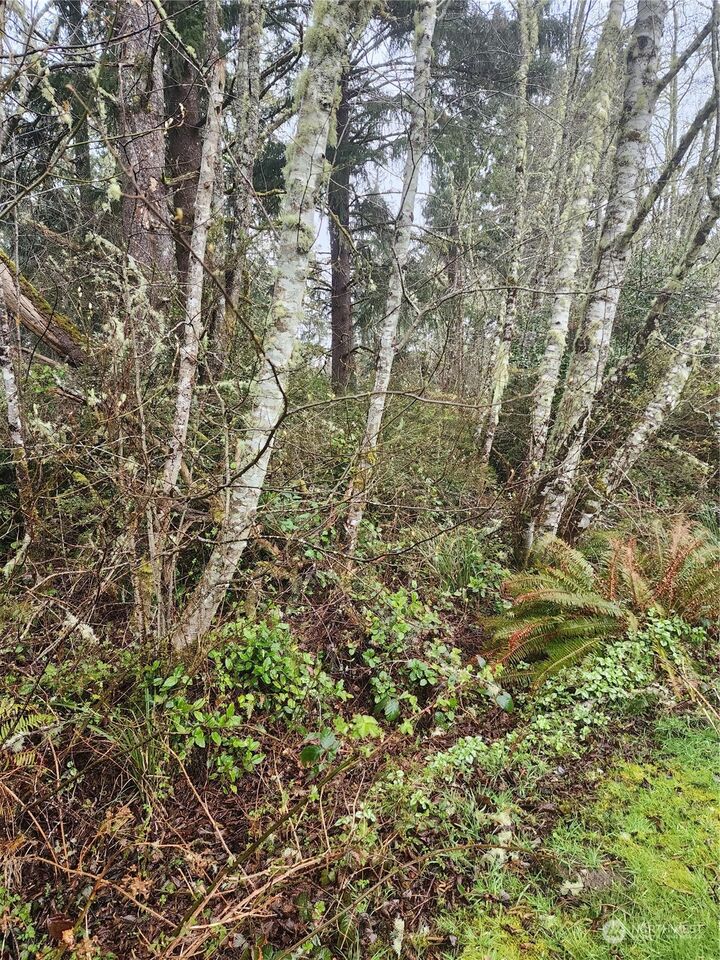 Property Photo:  285 Xx S Lane  WA 98640 