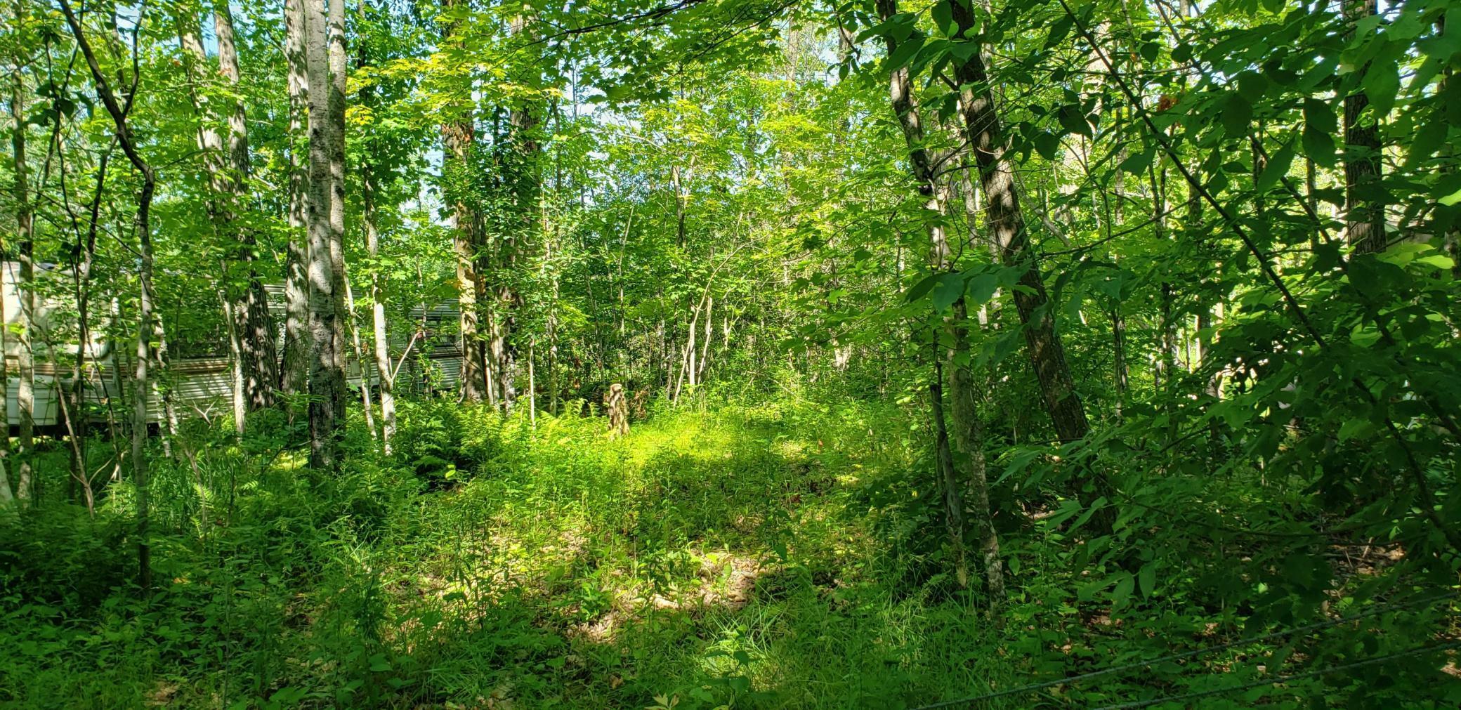 Property Photo:  L 11, B 7 Little John Drive  MN 56431 