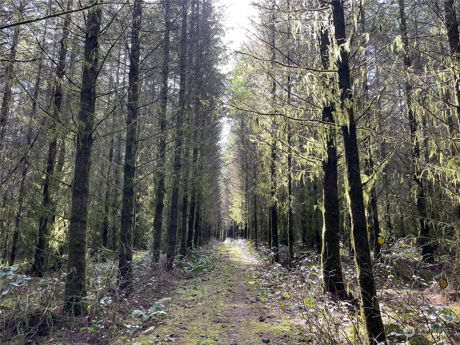 Property Photo: 0 Tennessee Road WA 98596