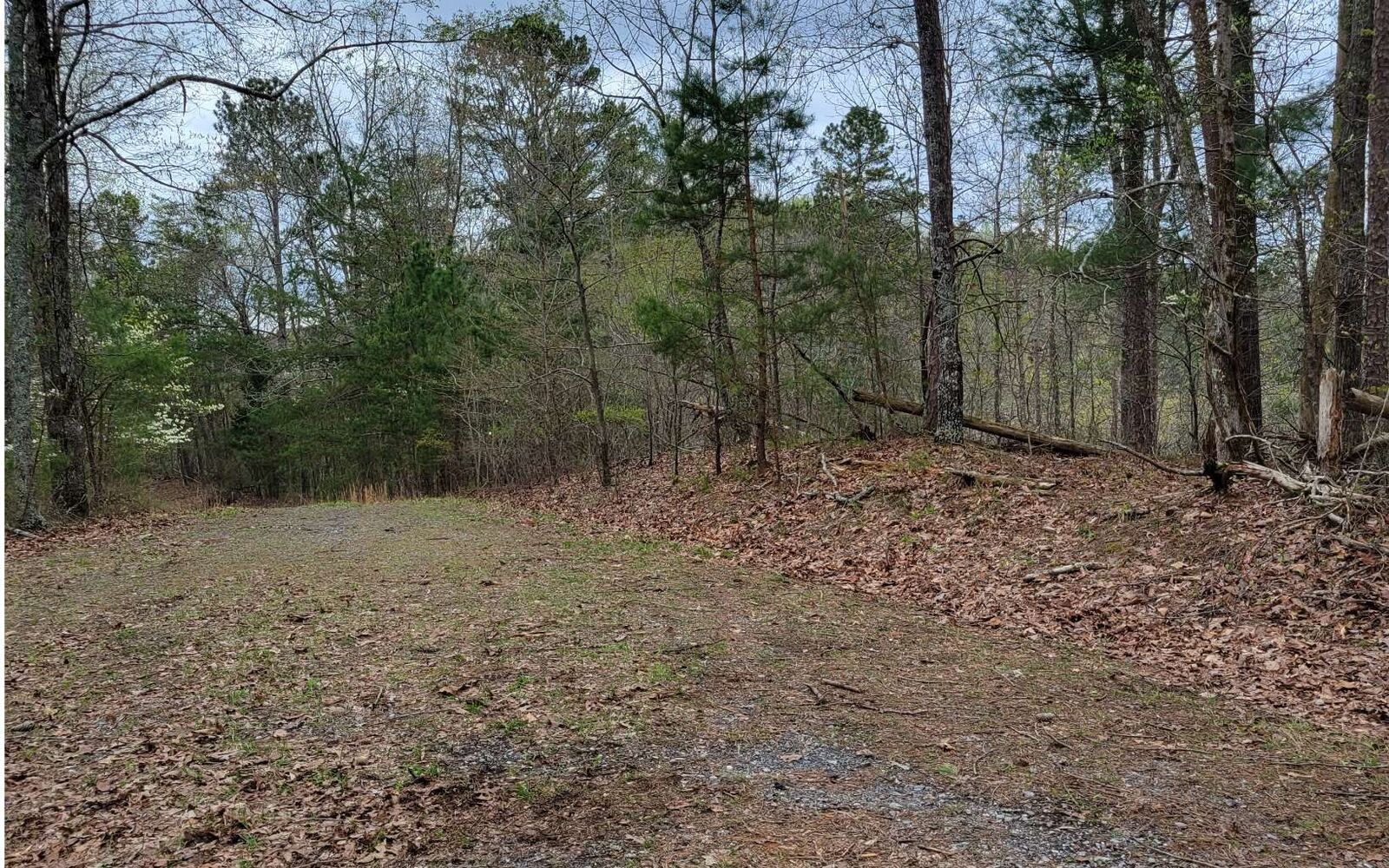 Property Photo:  Lot 1717 Rebekah Rdg  GA 30175 