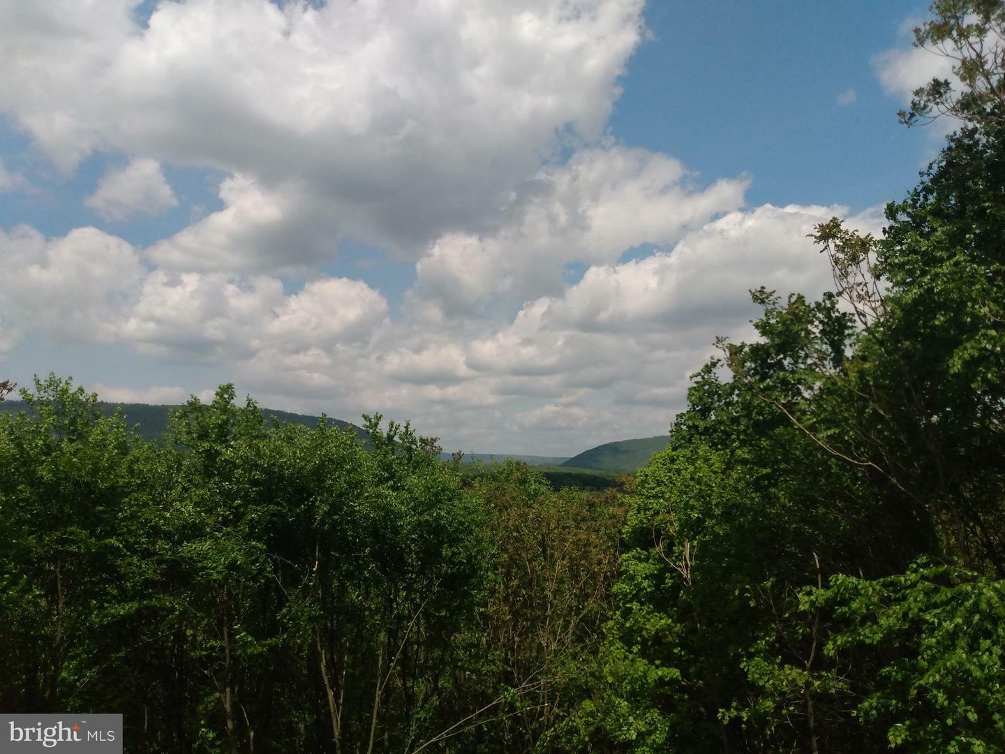 Property Photo:  869 Clay Pitts Lane  WV 25422 