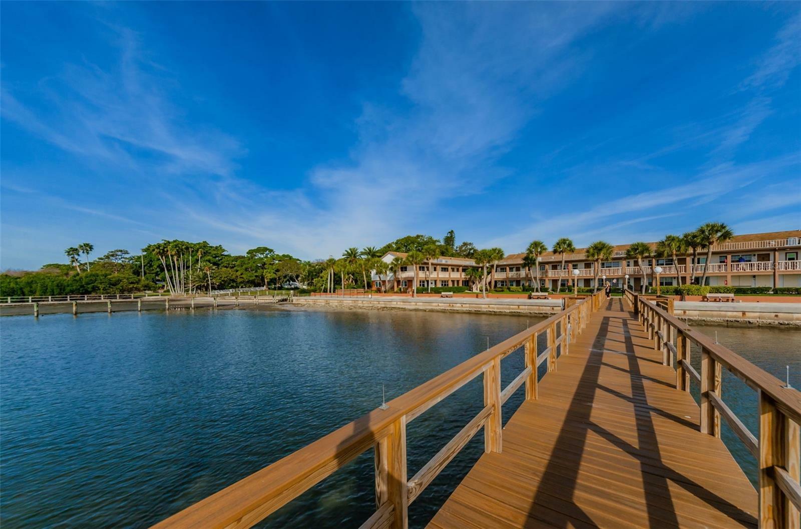 Property Photo:  650 Pinellas Point Drive S 236  FL 33705 