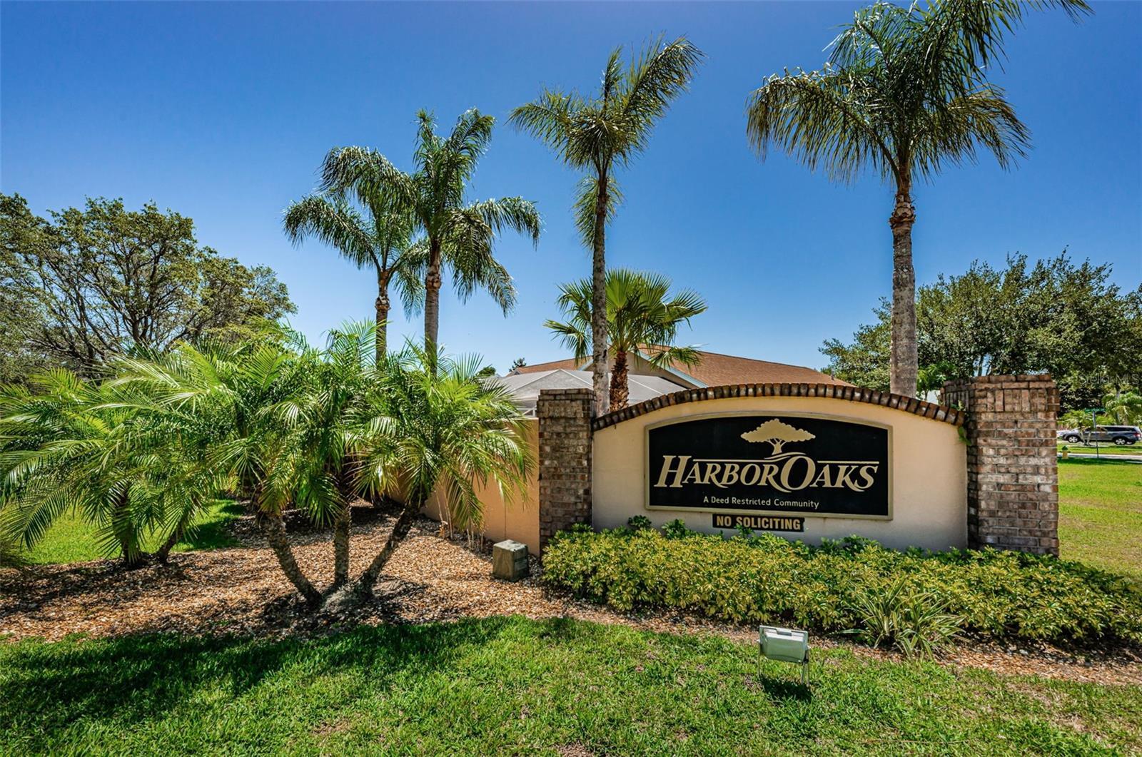 Property Photo:  211 Meadow Oak Lane  FL 34689 