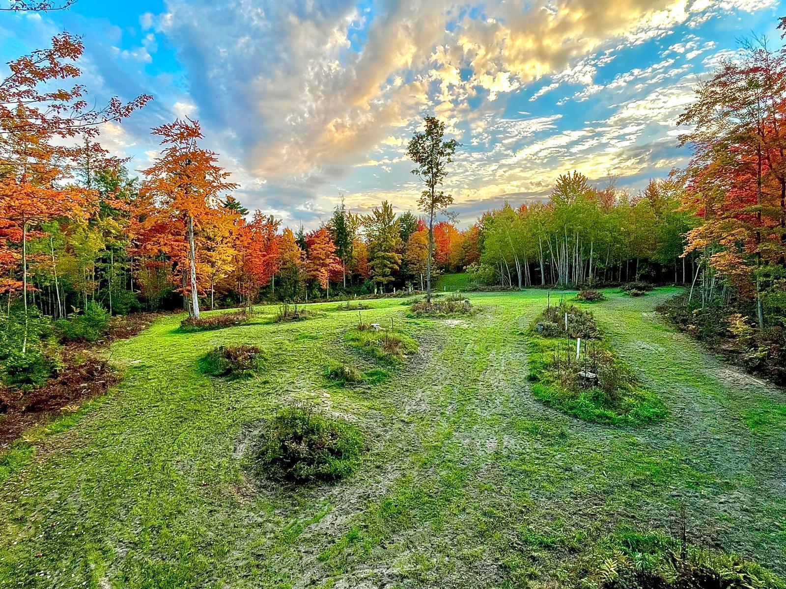 Property Photo: 16658 M-115 MI 49665