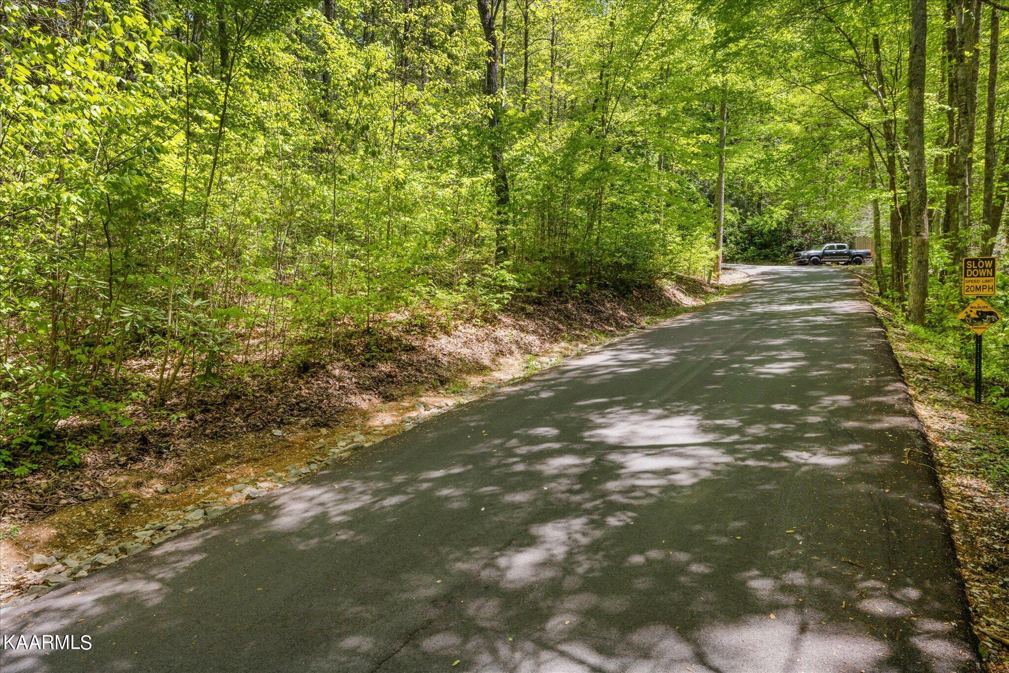 Property Photo: Lot 9 Little Round Top Way TN 37882