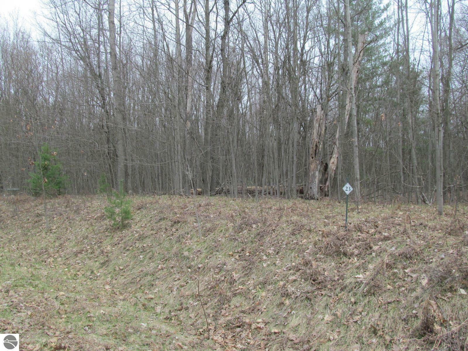 Property Photo:  Lot 23 River Woods Road River Woods Estates #2  MI 49651 