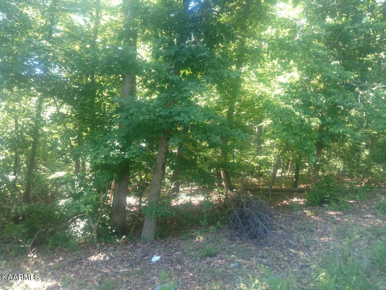 Property Photo:  Rendezvous Road Lot # 21  TN 37854 