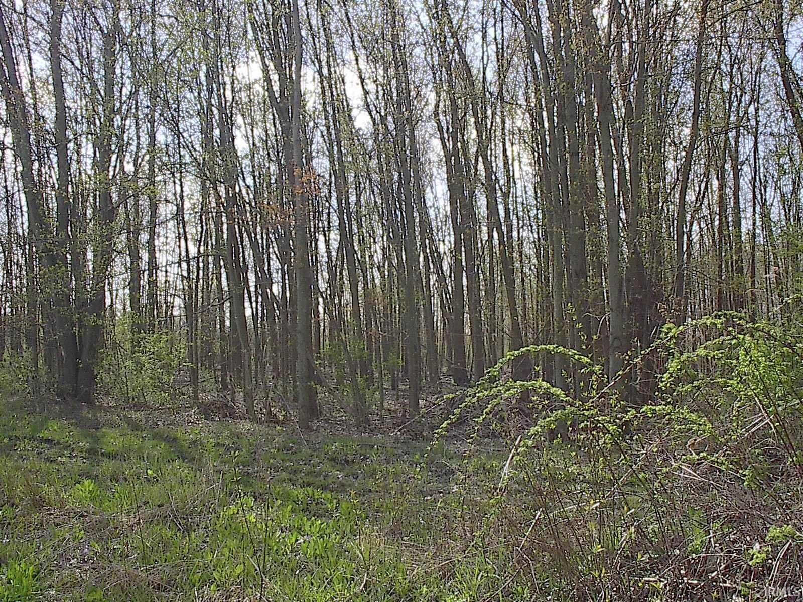 Property Photo:  0000 Hickory Street  IN 46721 