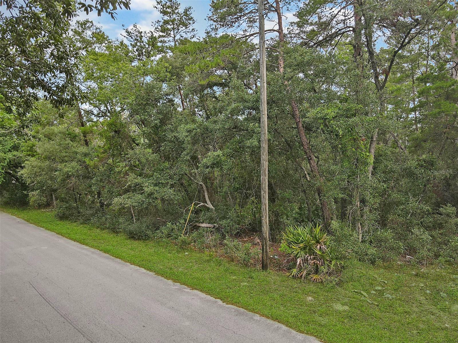 Property Photo:  Yearling Avenue  FL 34607 