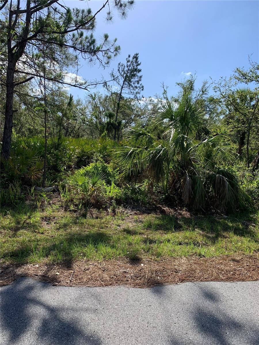 Property Photo: 384 Munoz Street FL 33953