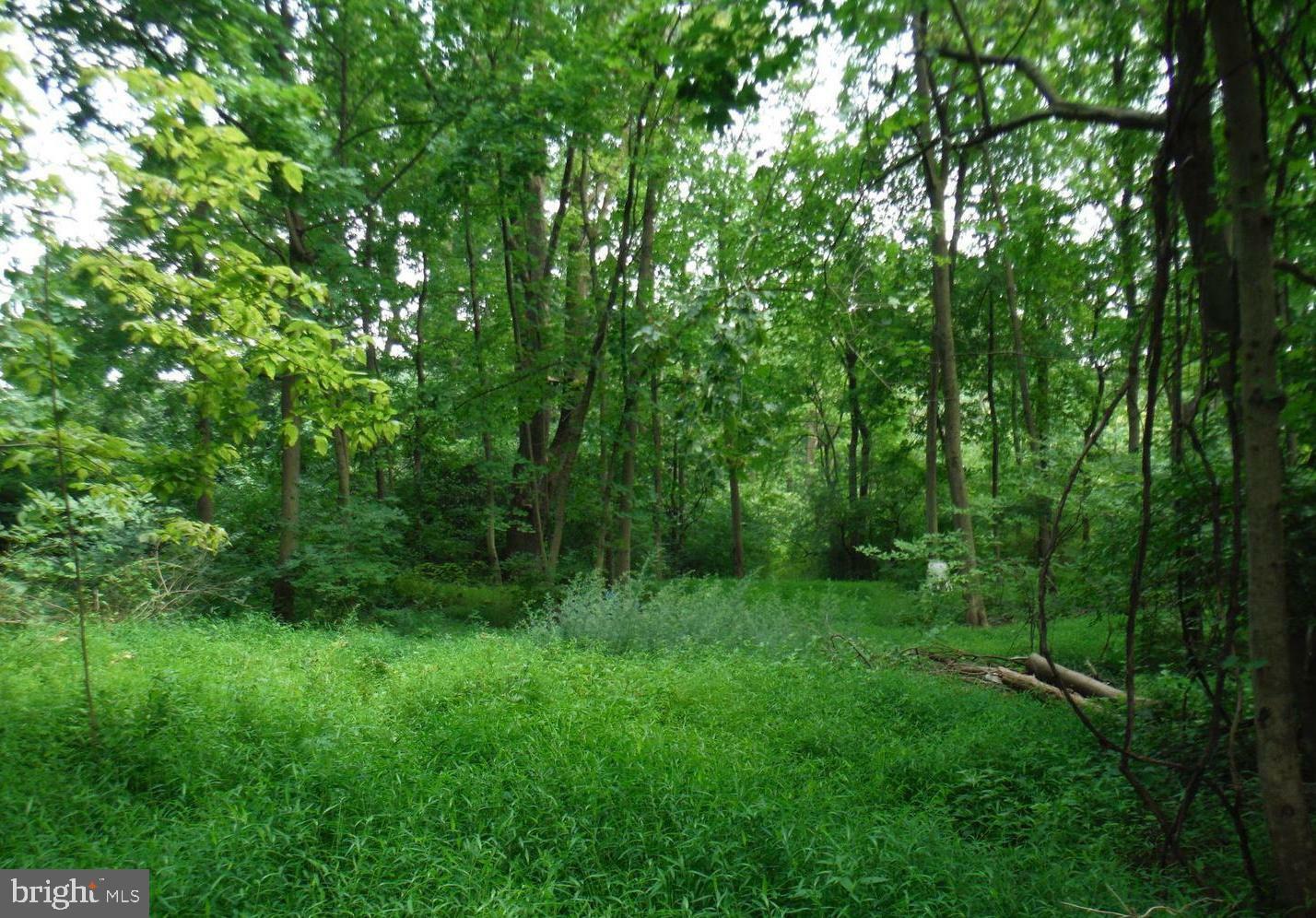 Property Photo: 0 Girard PA 19609