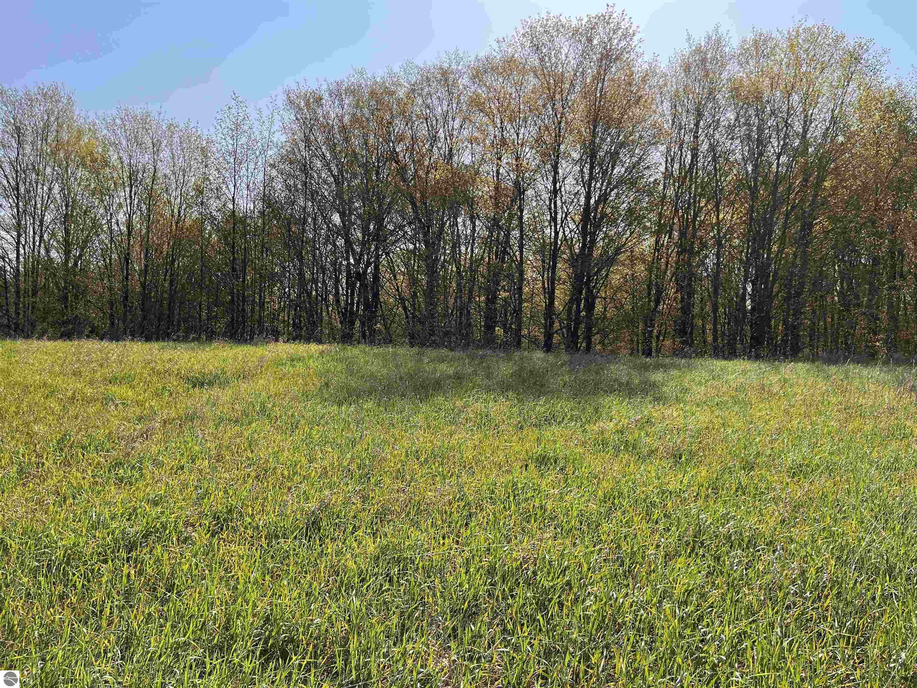 Property Photo:  Vl (D) Lynn Road  MI 49615 