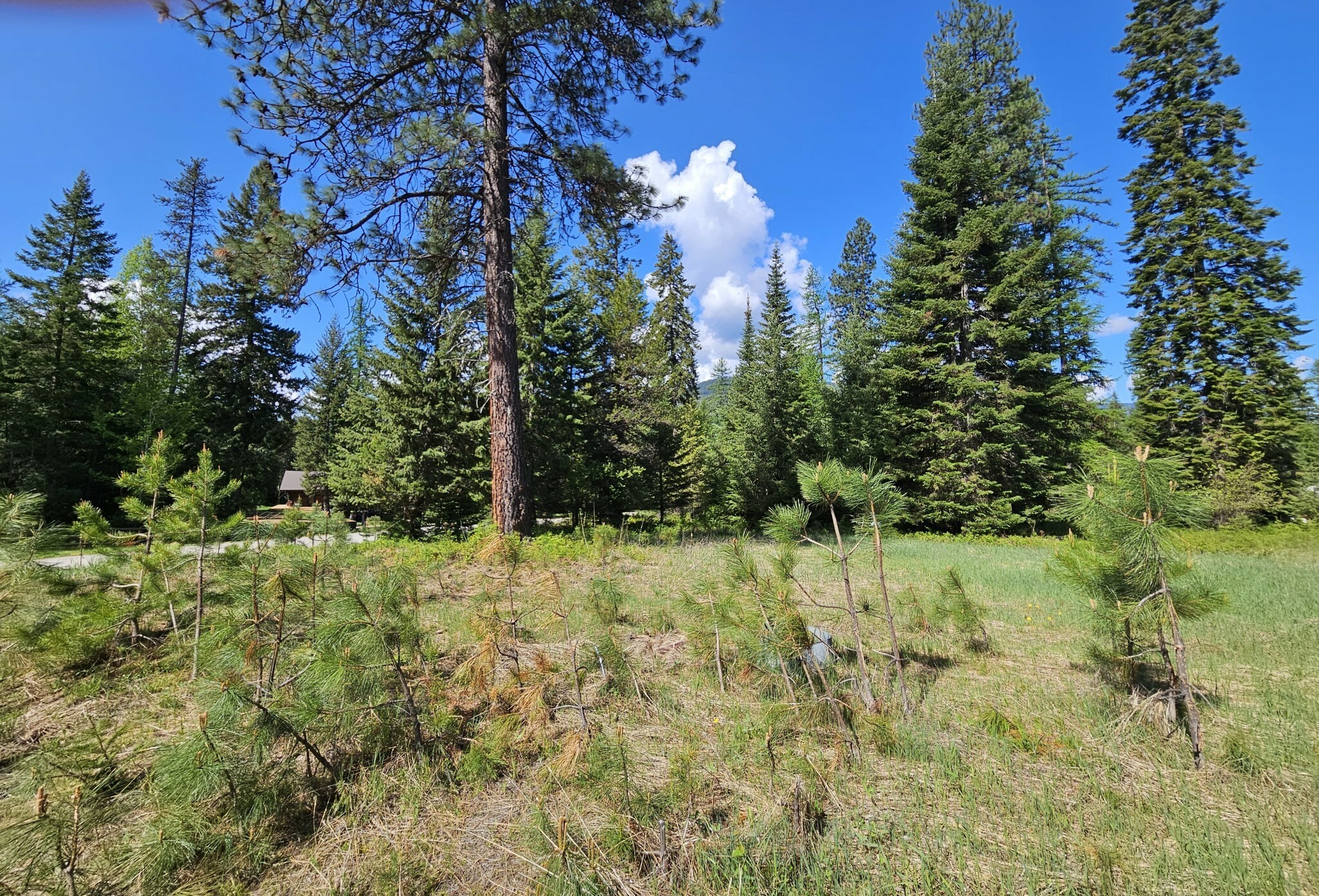 Property Photo:  Lot #11 Old Mill Way  MT 59874 