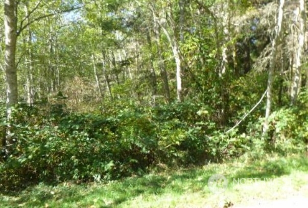 Property Photo:  0 Xxx Mastodon Drive  WA 98239 