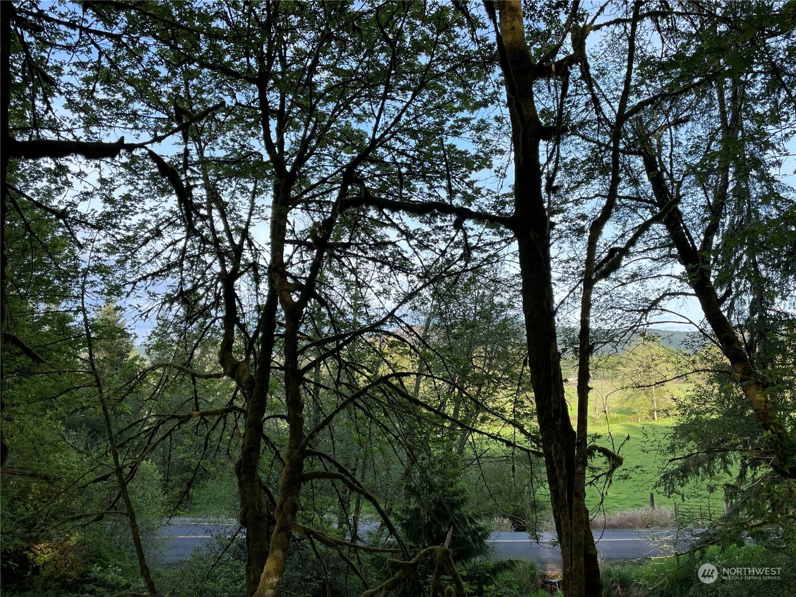 Property Photo:  0  Umiker Road  WA 98611 