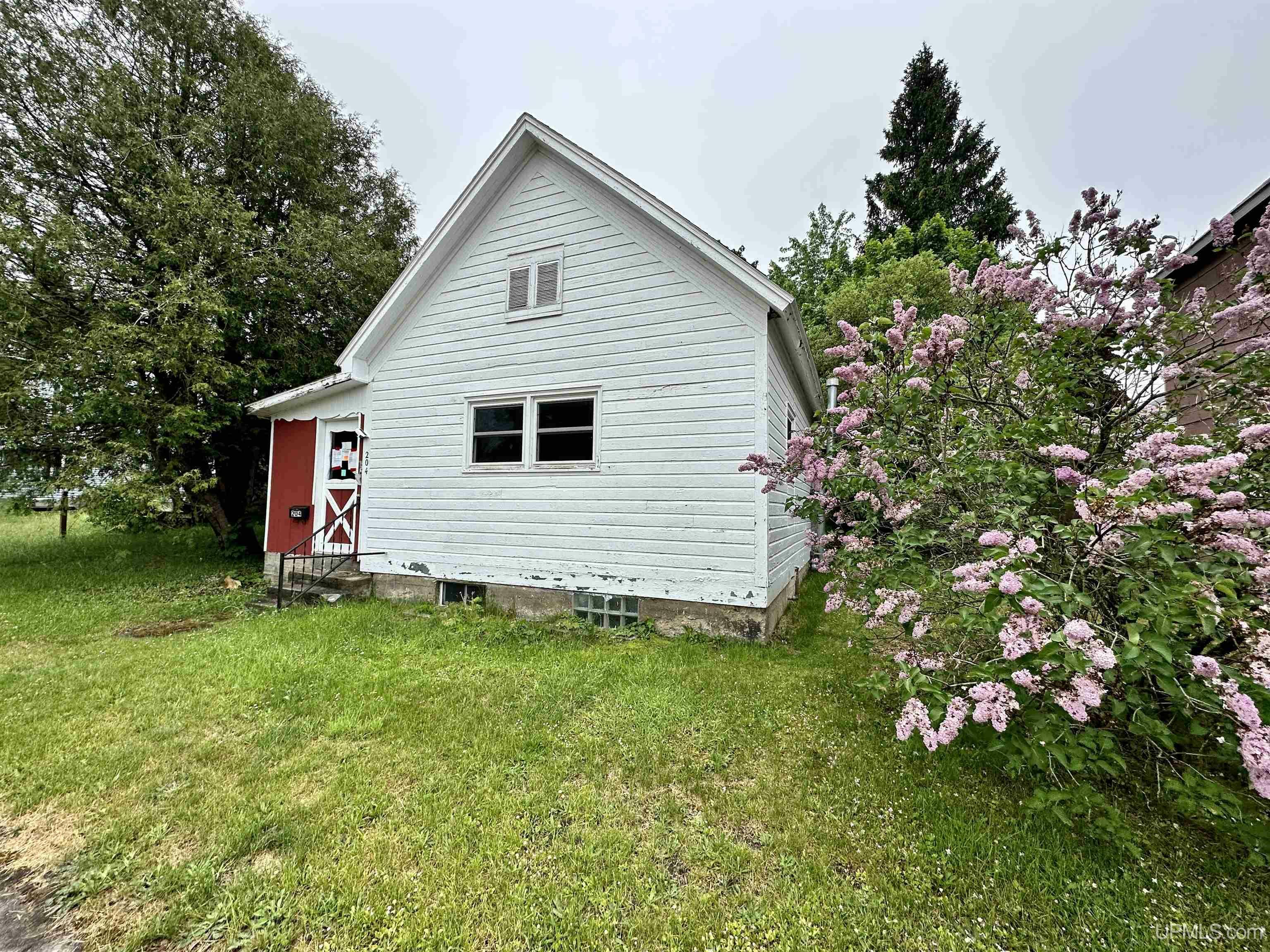204 E Harrie  Newberry MI 49868 photo