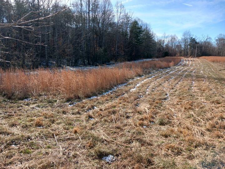 0 Joppa Rd SW  Walling TN 38587 photo