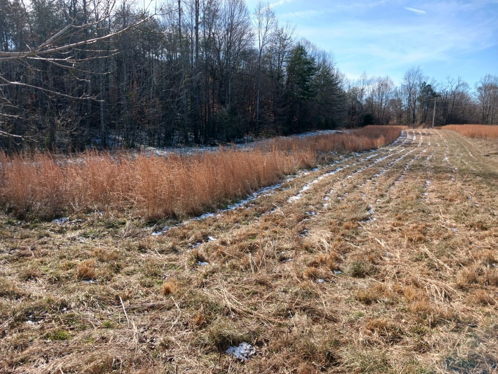 Property Photo: 0 Joppa Rd SW TN 38587