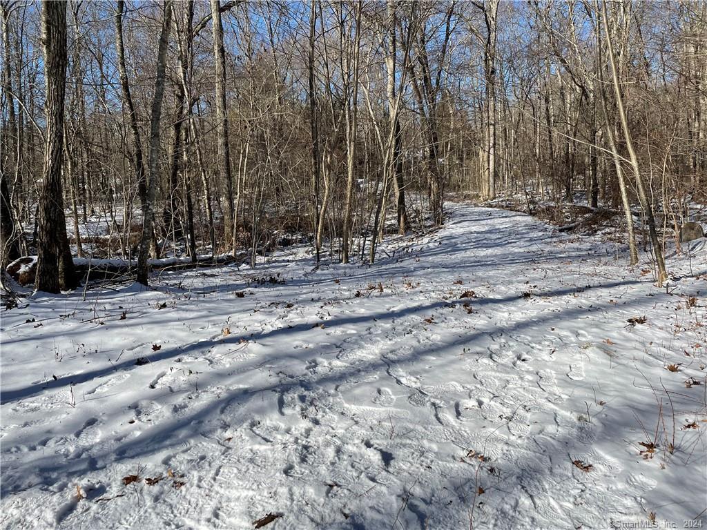Property Photo: 119F Reutemann Road CT 06359