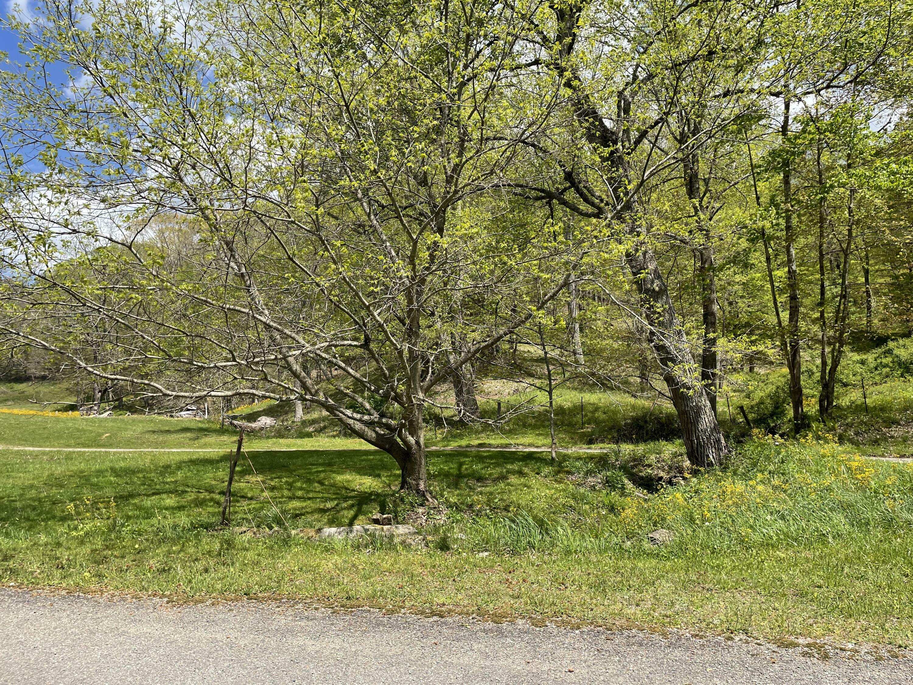 Property Photo:  10.05 Ac. Greer Road  TN 37691 