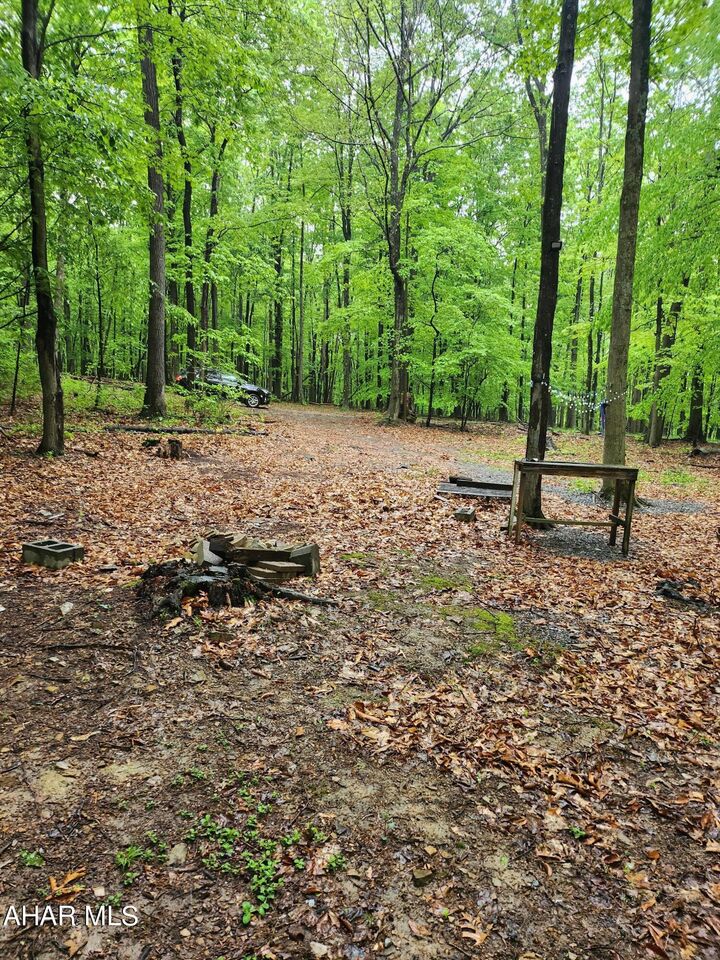 Property Photo: 0 Mosquito Hollow Road PA 16679