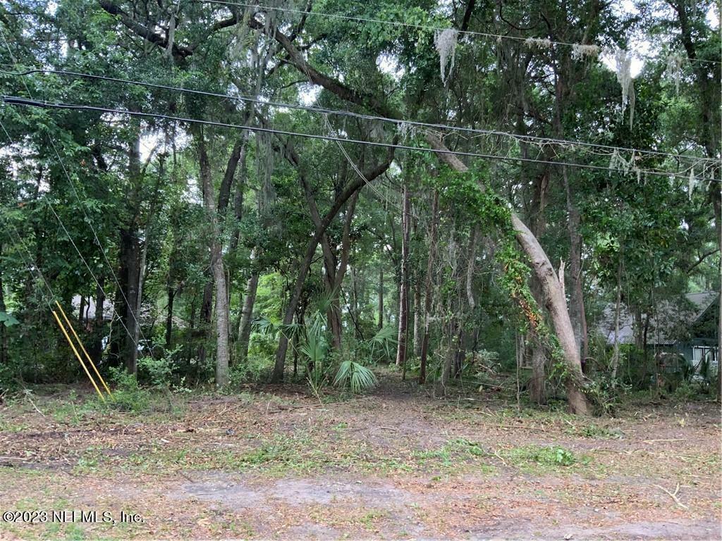 Property Photo:  0 Cutlass Way  FL 32097 