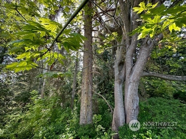 Property Photo:  0 Lot 10 Skeena Way  WA 98230 