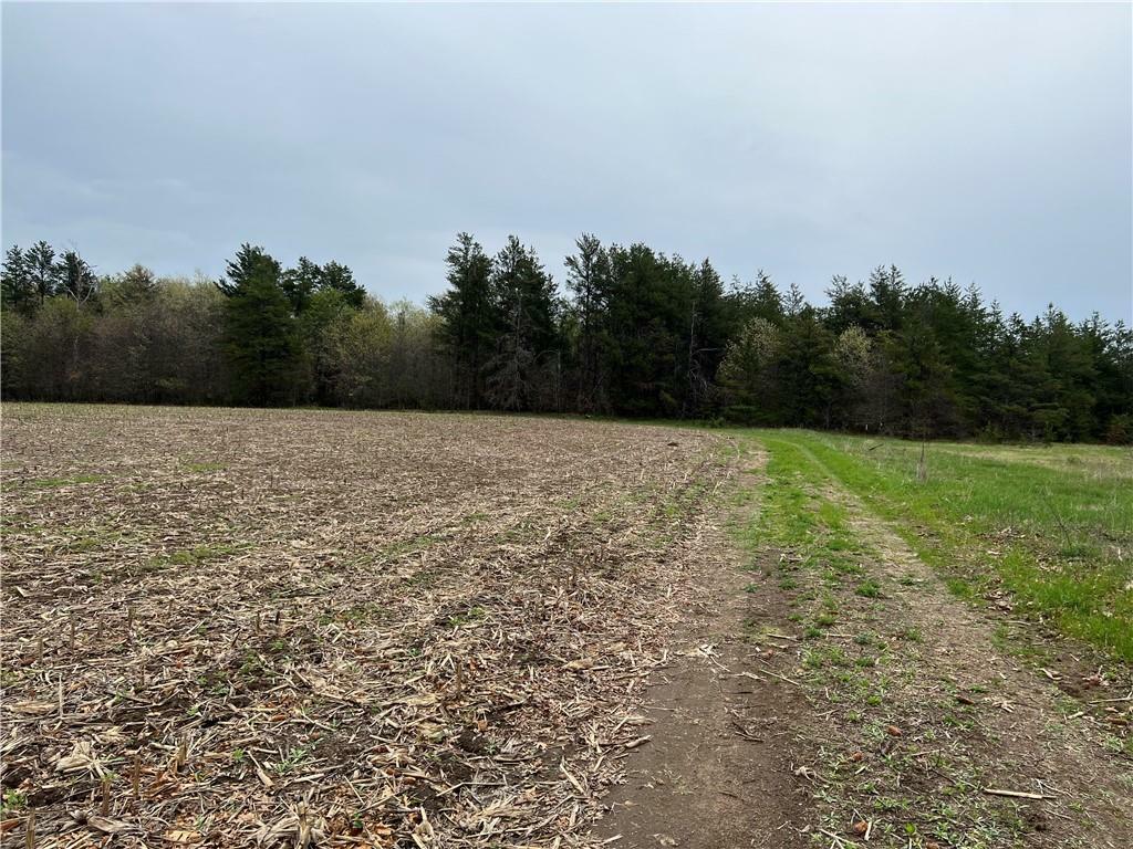 Property Photo:  Lot 2 Wissota Acres  WI 54729 