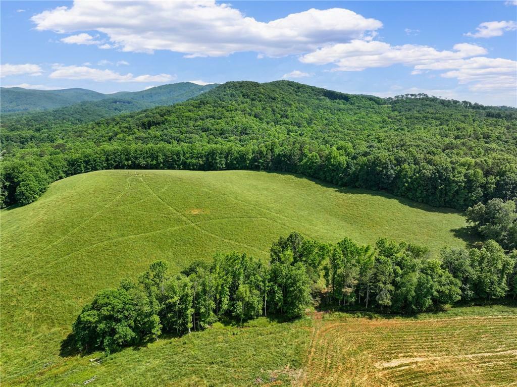 Property Photo: 0 Orchard Ln.- 95.86 Acres GA 30175