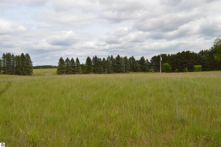 Property Photo: N Summit City Road MI 49649